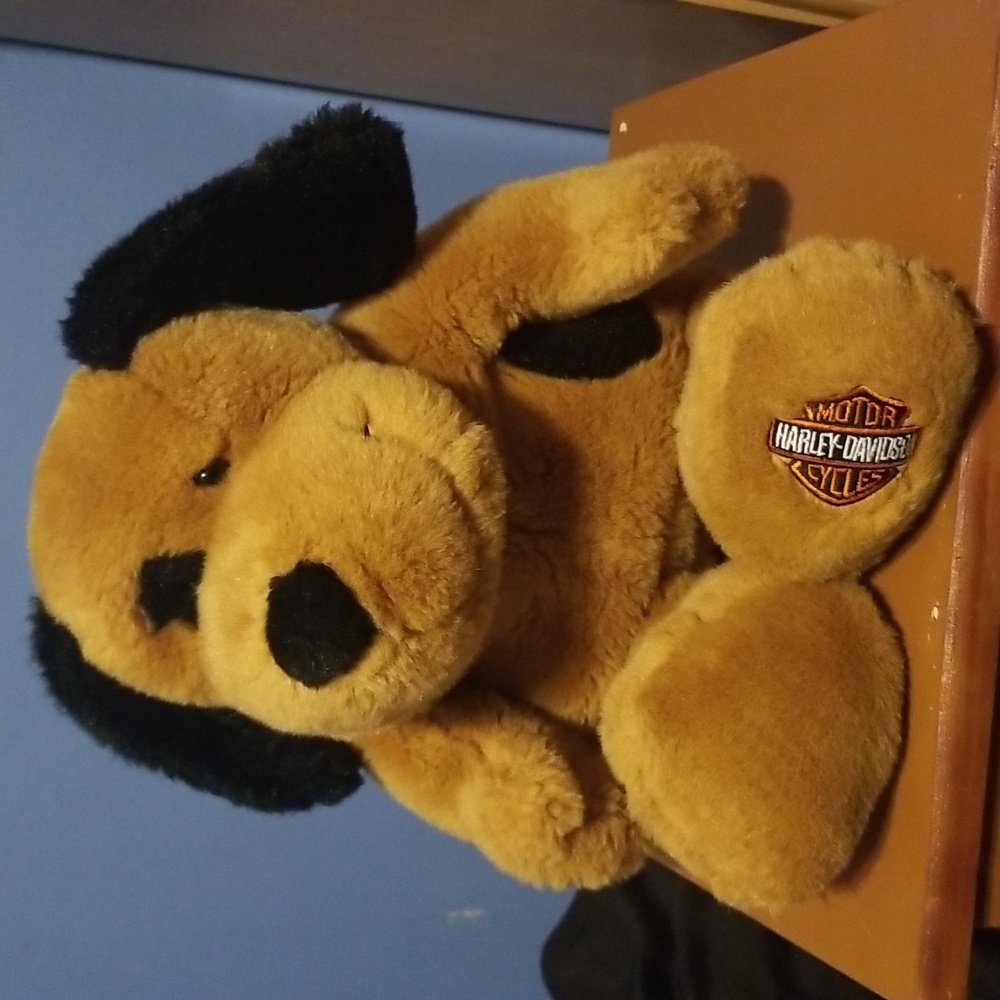 Harley Davidson Stuffed Dog Collectable  Like New Sat On Book Case For Years